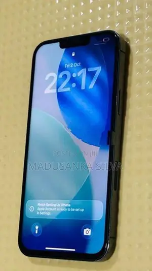 Apple iPhone 13 Pro Max (Used)