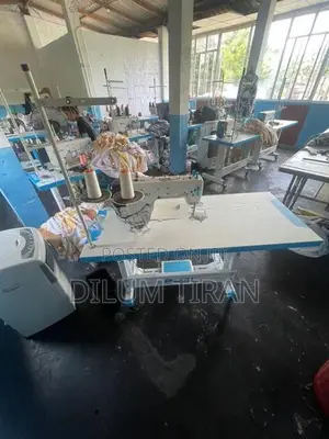 Dexiu Chinese Sewing Machine