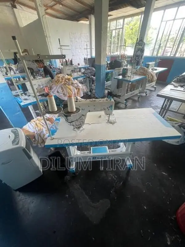 Dexiu Chinese Sewing Machine