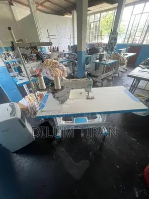 Dexiu Chinese Sewing Machine