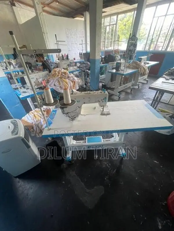 Dexiu Chinese Sewing Machine