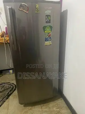 Singer Freezer