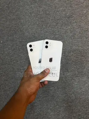 Apple iPhone 12 (Used)