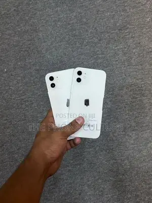 Apple iPhone 12 128GB (Used)