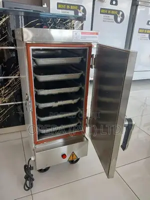 10 Kg Budget Steamer
