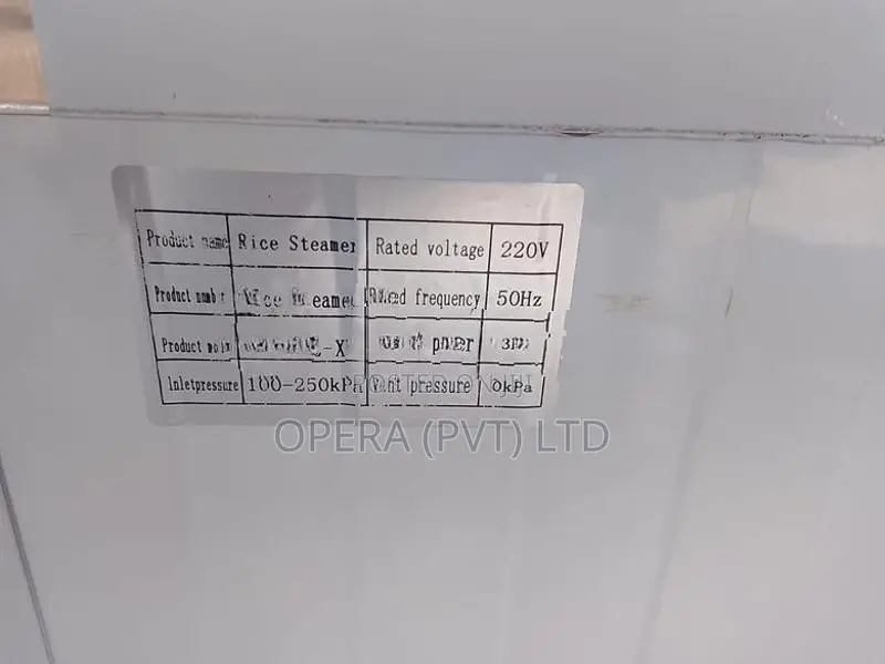 10 Kg Budget Steamer