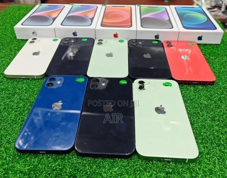 Apple iPhone 12 256GB (Used)