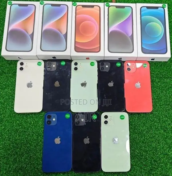 Apple iPhone 12 256GB (Used)