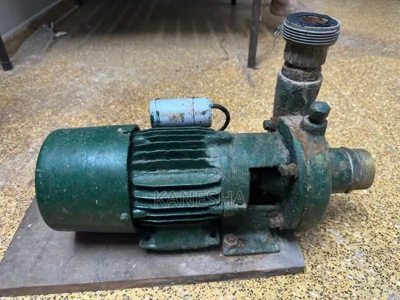 Garden Water Motor