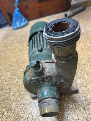 Garden Water Motor