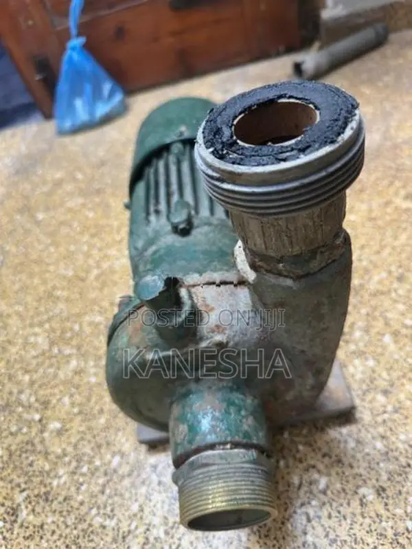 Garden Water Motor