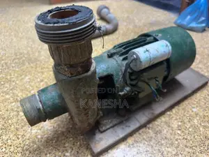 Garden Water Motor