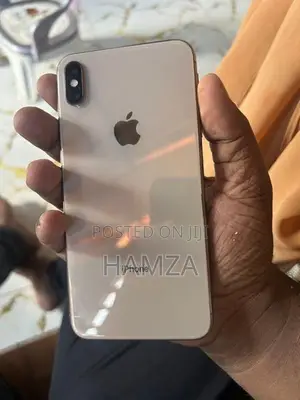Apple iPhone XS Max (Used)