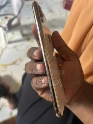 Apple iPhone XS Max (Used)