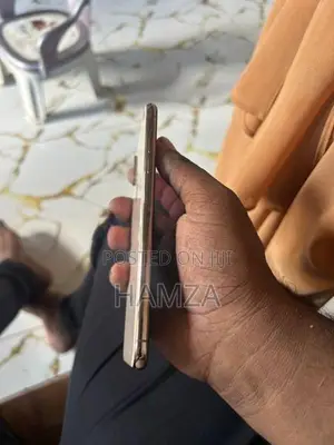 Apple iPhone XS Max (Used)