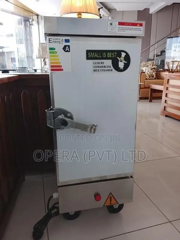 6 Tray Electric Steamer