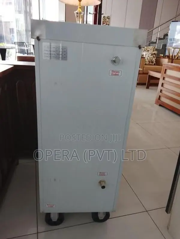 6 Tray Electric Steamer