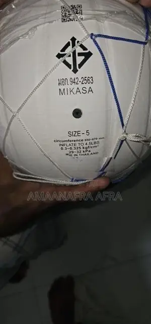 Volleyball Net