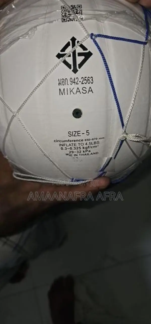 Volleyball Net