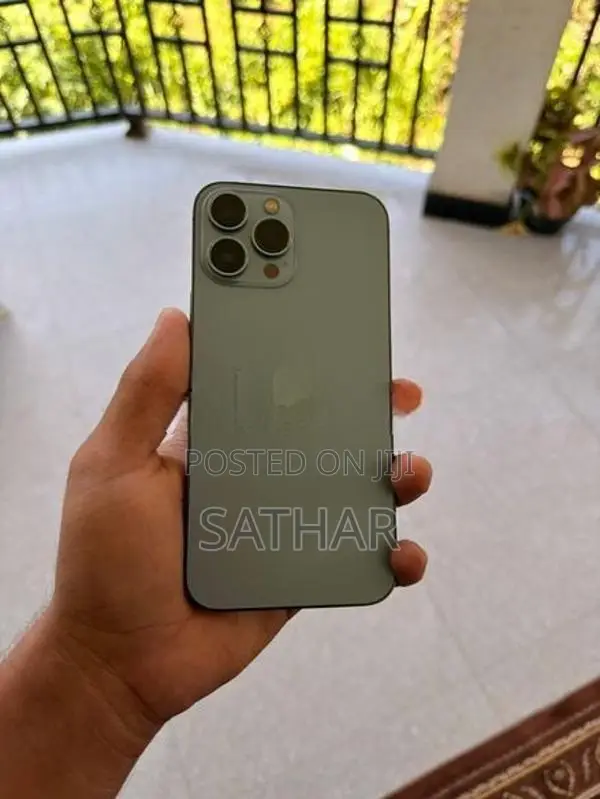 Apple iPhone 13 Pro Max (Used)
