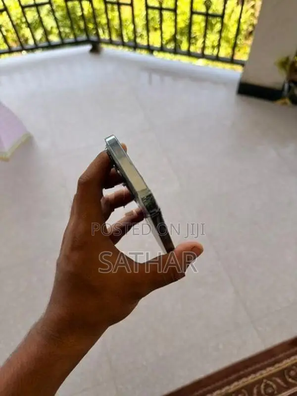 Apple iPhone 13 Pro Max (Used)