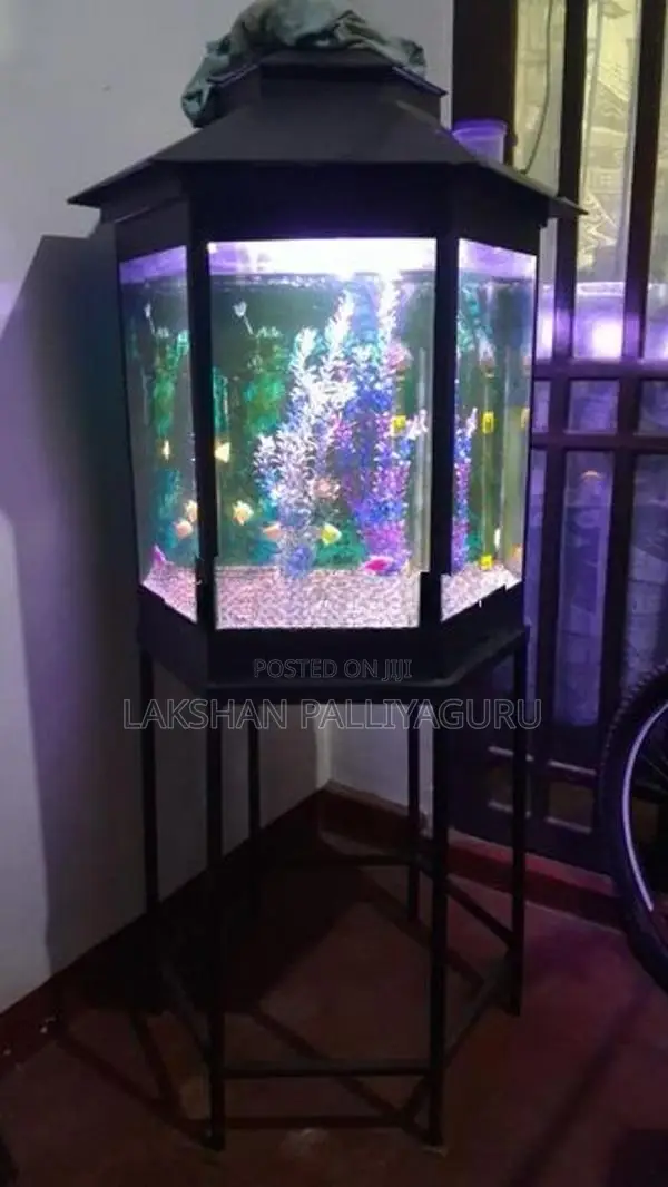 Fish Tank