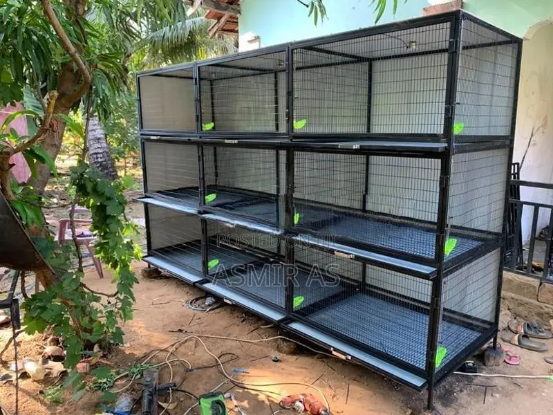 Pigeon Cage