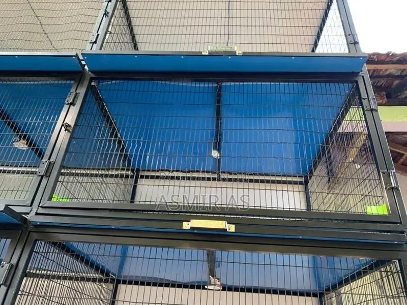 Pigeon Cage