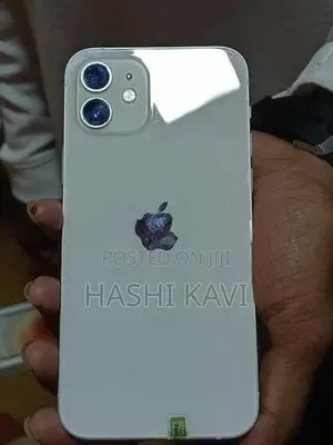 Apple iPhone 12 (Used)