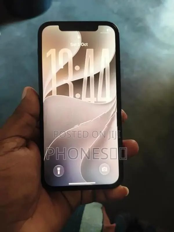 Apple iPhone 12 (Used)