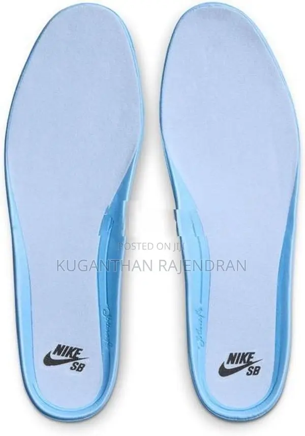 Brand New Nike SB Alleyoop Sneaker