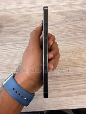 Apple iPhone 16 Pro Max (Used)