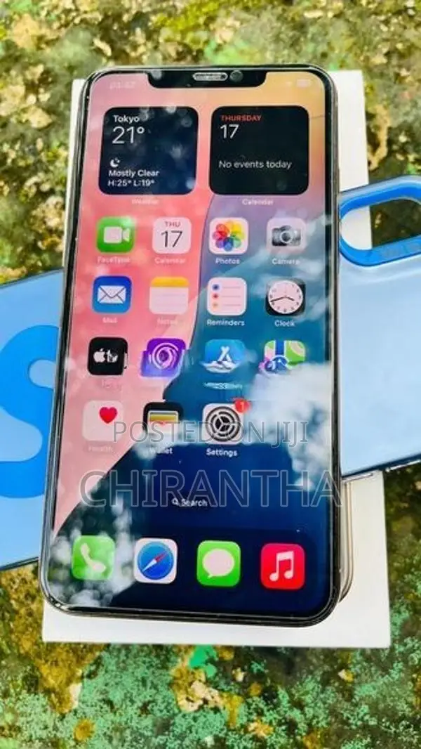 Apple iPhone XS Max 256GB (Used)