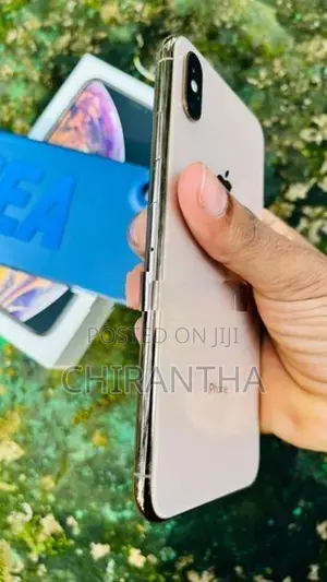 Apple iPhone XS Max 256GB (Used)