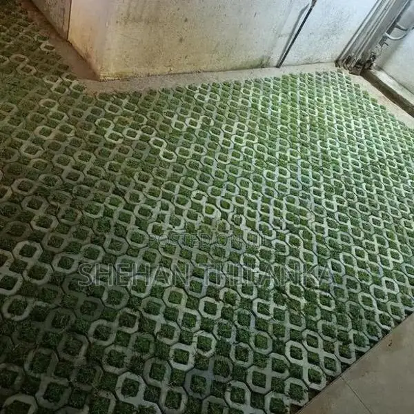 Interlock Grass