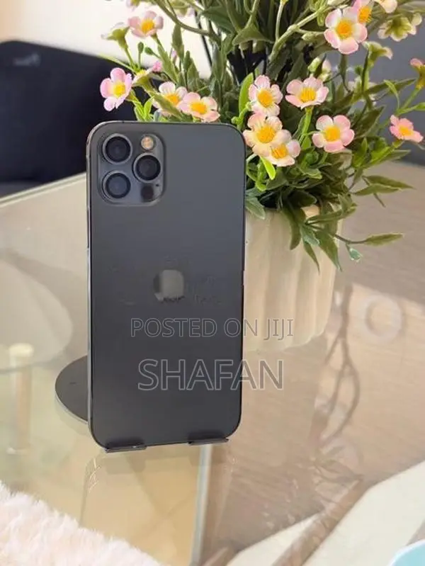 Apple iPhone 12 Pro 256GB (Used)