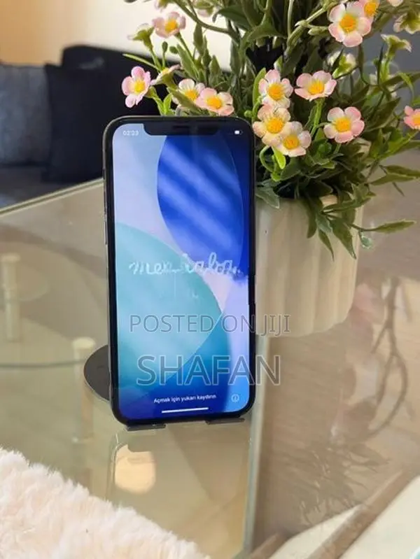 Apple iPhone 12 Pro 256GB (Used)