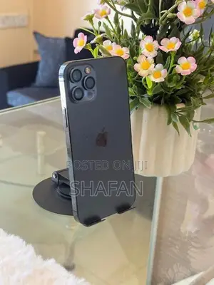 Apple iPhone 12 Pro 256GB (Used)