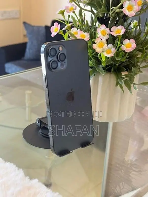 Apple iPhone 12 Pro 256GB (Used)