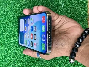 Apple iPhone 13 Pro (Used)