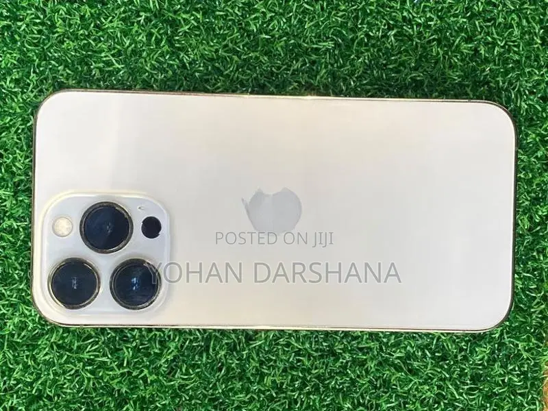 Apple iPhone 13 Pro (Used)