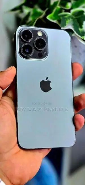 Apple iPhone 13 Pro 256GB (Used)