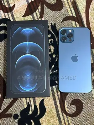 Apple iPhone 12 Pro Max (Used)