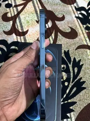 Apple iPhone 12 Pro Max (Used)
