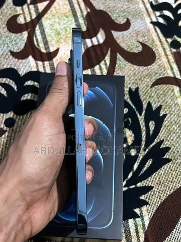 Apple iPhone 12 Pro Max (Used)