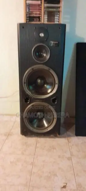 Pioneer Setup