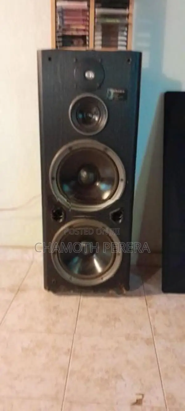 Pioneer Setup