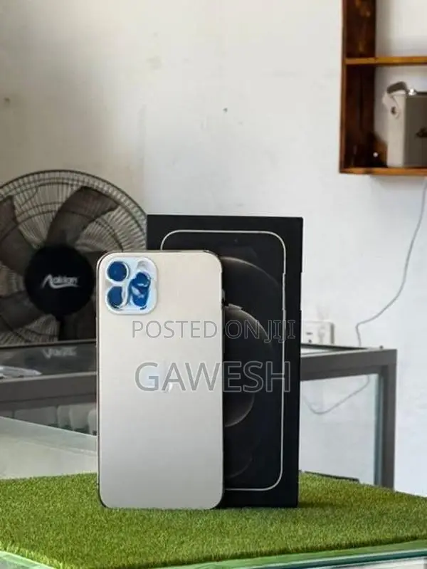 Apple iPhone 12 Pro (Used)
