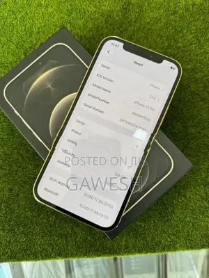 Apple iPhone 12 Pro (Used)