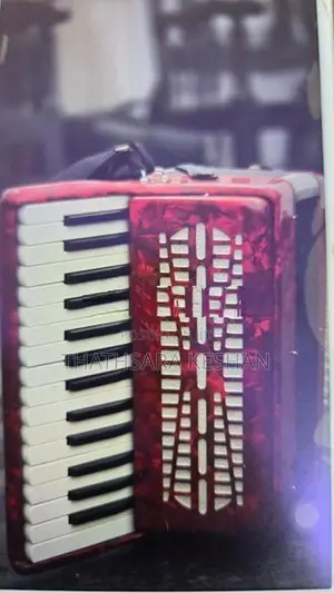 Accordion 49 Bass